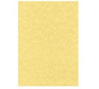 DECAdry Papier texturé PCL1600 Parchemin or A4 (210 x 297 mm) 95 g/m² 100 feuilles
