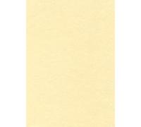 Decadry PCL1677 Boîte de 50 feuilles A4 165g Parchemin champagne