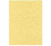 DECAdry SCL2059 - Parchemin - or - A4 (210 x 297 mm) - 95 g/m² - 25 feuille(s) papier texturé G