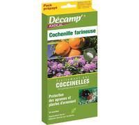 DECAMP-Coccinelles contre la cochenille farineuse Décamp - La boite de 20