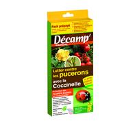 DÉCAMP'-Coccinnelles Septempunctata Décamp’ - La boite