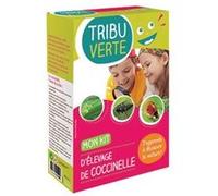 décamp - mon kit : élevage de coccinelles