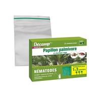 Decamp Papillon palmivore et charancon Rouge