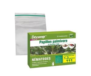 Decamp Papillon palmivore et charancon Rouge