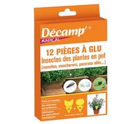 Piège glu contre les insectes - DECAMP' - Pour plantes en pot