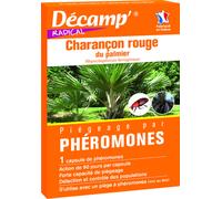 DECAMP-Piégeage par phéromones anti charançon rouge du palmier Décamp