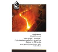 Décapage Chimique: Optimisation des consommations d'acide et d'énergie - Zouhair Aymen - Noor Publishing - broché - Etude