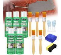 Décapant Rayhong, Décapant Ray Hong, Décapant automobile efficace Rayhong, Décapant pour métal, Correction et suppression de graffitis sur mur, pour métal et bois (5 pièces)