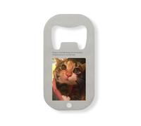 Décapsuleur amusant en acier inoxydable argenté avec inscription « Cat sees Christmas Lights for The First Time »