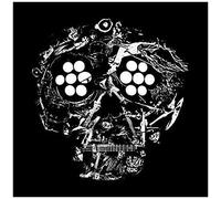 Decayed Ten Years Of Cities Wounds Lightness And Pain/Mp3 Inclus