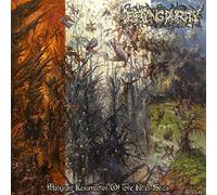 Decaying Purity - Malignant Resurrection of The Fallen Souls [Import]