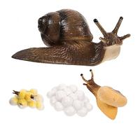 DECHOUS 1 Ensemble Jouets de Croissance des escargots d'escargot modèle de Cycle d'escargot Enfants Jouets du Cycle de Vie des escargots modèle Imitation Escargot d'enfant PVC