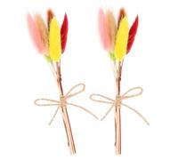 DECHOUS 2 Pièces Ornement Mini Bouquet de Fleurs Séchées en Setaria Viridis, Style Bohème, Lot de Boutonnières Décoratives pour Mariés et Mariés, pour Performances et Fêtes