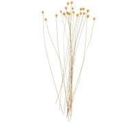 DECHOUS 20 pièces Bâtons Diffuseurs Arôme à Fleurs Naturelles Tiges de Rotin pour Diffuseur Huiles Essentielles sans Feu Décoration Parfumée pour Maison Bureau et Yoga