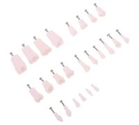 DECHOUS 24 Pièces Modèle de Formation des Dentistes Typodontique Modèle de Dents Typodontes Résine et Métal 24 Dents Structure Complète Fixées par Vis pour Démonstrations D'enseignement