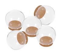 DECHOUS 5pièces Coffret De Caches Verre Transparent pour Fleurs Éternelles avec Couvercle Liège Décoration Élégante pour Bureau Et Maison