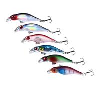 DECHOUS 6 Pièces Leurre de Pêche Abs 5cm 2,7g Hameçon N°10, Appât Créatif à Immersion Lente pour Carpe en Extérieur, pour Pêche en Eau Douce