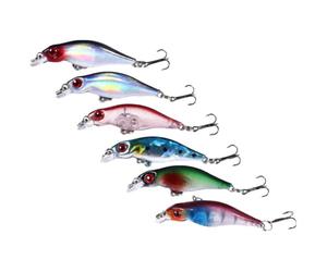 DECHOUS 6 Pièces Leurre de Pêche Abs 5cm 2,7g Hameçon N°10, Appât Créatif à Immersion Lente pour Carpe en Extérieur, pour Pêche en Eau Douce