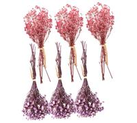 DECHOUS Bouquet de Gypsophile Séchée 6 Pièces, Mini Petites Fleurs Naturelles 12 Cm, Décoration Mariage et Fête, Ornement Maison, Composition de Fleur et Centre de Table