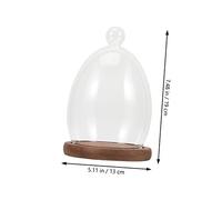 DECHOUS Cloche Verre Transparent Œuf avec Base Vintage Couvercle de Protection Poussière pour Fleurs et Micro Décoration Romantique pour Saint Valentin