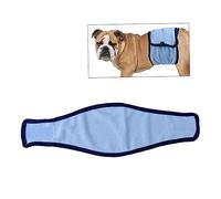 DECHOUS Culotte Menstruelle pour Shorty Lavable pour Incontinence Canine Couches pour Animaux de Compagnie Optimal