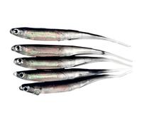 DECHOUS Leurres de Pêche en Silicone Souple, Lot de 5 Set de Appâts Réalistes Noirs, Imitation Poisson pour Eau Douce, Adaptés à la Pêche au Brochet et à la Truite en Extérieur