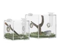 DECHOUS Lot de 2 Boîtes D’Élevage pour Araignées en Acrylique Transparent Tailles Moyenne et Grosse Trous D’Aération Latéraux Adaptées pour Reptiles et Insectes Terrarium Portable