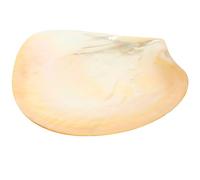 DECHOUS Plateau de Service Décoratif en Coquille Unique, Assiette D'apéritif Élégante en Coquille Facile à Nettoyer, pour Boutique de Desserts ou Café