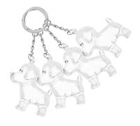 DECHOUS Porte-Clés Boîte à Souvenirs pour Poils de Chien Transparent Lot de 4 Pièces Breloques Commémoratives Portables pour Paquet et Clés Rangement Sécurisé Souvenir Animal de