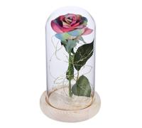 DECHOUS Rose Éternelle sous Cloche en Verre, Coffret Présent Romantique | Bois et Verre, Décoration de Table pour Salon et Étagère, Idée Saint Valentin Solide