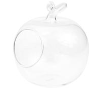 DECHOUS Vase en Verre Pomme Vase Hydroponique en Verre Transparent pour La Maison Micro Paysage AméNagement Paysager Artisanat Ornements
