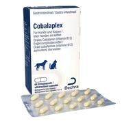 Dechra Cobalaplex | 60 gélules | Complément alimentaire pour chiens et chats | Peut favoriser la digestion et favoriser les niveaux de vitamine B12 | Avec prébiotique Preplex