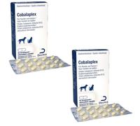Dechra Cobalaplex Lot de 2 boîtes de 60 gélules, complément alimentaire pour chiens et chats, pour soutenir la digestion et les niveaux de vitamine B12, Prebiotique Preplex