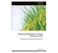Deciphering Submergence Tolerance Mechanism In Rice