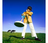 Declan McKenna What Happened to the Beach? (Vinyl)