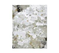 Declea Tableau motif floral blanc Imprimé avec fleurs peintes - Mobilier pour salon Impression sur toile 100% coton
