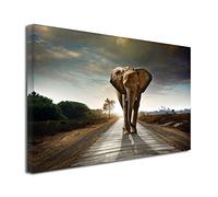 DECLINA Tableau Animaux, Photo sur Toile, décoration Salon, Tableau décoratif Eléphant 50x30 cm
