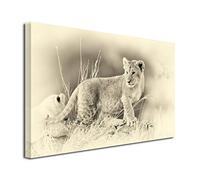 DECLINA, Tableau Animaux, Tableau Decoration Murale, Toile intissée, Tableau Photo déco Le Lion Blanc 80x50 cm