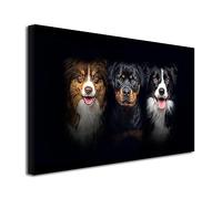 DECLINA, tableau animaux, tableau decoration murale, toile intissée, Tableau photo toile border collie et rottweiler, 80x50 cm
