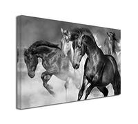DECLINA Tableau Course de Chevaux intissée - Impression Photo Animaux sur Toile décoration Murale - Déco Maison, Cuisine, Salon, Chambre Adulte - Noir et Blanc 80x50 cm