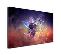 DECLINA - Tableau Déco Papillons Colorés - Nature Colorée Délicate - Impression HD sur toile - Fabrication française - 50x30 cm