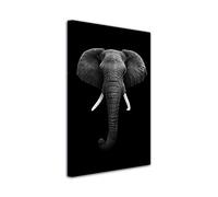 DECLINA Tableau Decoratif Animaux Elephant - Impression Photo Animaux sur Toile décoration Murale - Déco Maison, Cuisine, Salon, Chambre Adulte - Noir et Blanc 30x50 cm