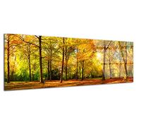 DECLINA - Tableau Décoratif forêt en automne - Tableau Feuilles D’Automne Esprit Cocooning - Photo Murale Sur Verre Acrylique - Fabriqué En France