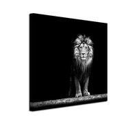 DECLINA, tableau decoration murale, tableau animaux, tableau déco, Tableau photo sur toile Le Lion, 50x50 cm