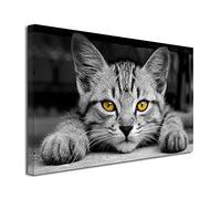 DECLINA - Tableau Design Le Petit Chat - Déco Animale Ambiance Douce - Impression HD sur toile - Fabriqué en France - 50x30 cm