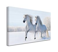 DECLINA Tableau imprimée Chevaux dans la Neige - Impression Photo Animaux sur Toile décoration Murale - Déco Maison, Cuisine, Salon, Chambre Adulte - Bleu 50x30 cm