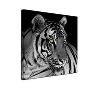 DECLINA Tableau Le Tigre Blanc - Impression Photo Animaux sur Toile décoration Murale - Déco Maison, Cuisine, Salon, Chambre Adulte - Noir et Blanc 30x30 cm