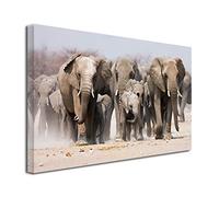 DECLINA Tableau Les Eléphants - Impression Photo Animaux sur Toile décoration Murale - Déco Maison, Cuisine, Salon, Chambre Adulte - Multicouleur 80x50 cm
