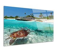 DECLINA, tableau mural, décoration murale, impression sur verre acrylique, photo tortue marine, faune marine, art mural, cadre design, déco nature, tableau océan