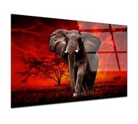 DECLINA - Tableau Mural Éléphant Sauvage SOUS LE Tonnerre - Art Mural Animalier - Photo Murale sur Verre Acrylique - Atelier Français - 50 x 30 cm